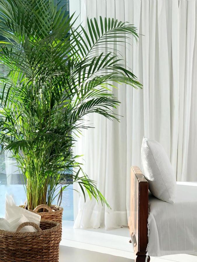 Casa Tamatina By Mhousing Apartment Playa Blanca  Bagian luar foto